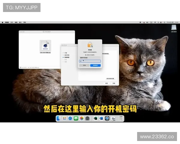 2024年最新版本电脑版x软件下载方法全攻略